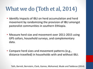 The design and implementation of index insurance initiatives: Three challenges for policy