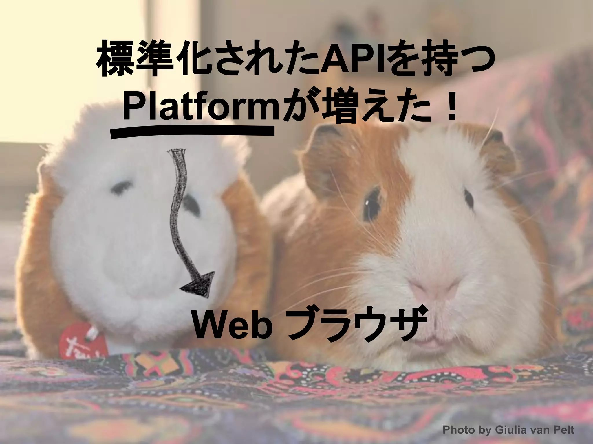 標準化されたAPIを持つ
Platformが増えた！
Photo by Giulia van Pelt
Web ブラウザ
 