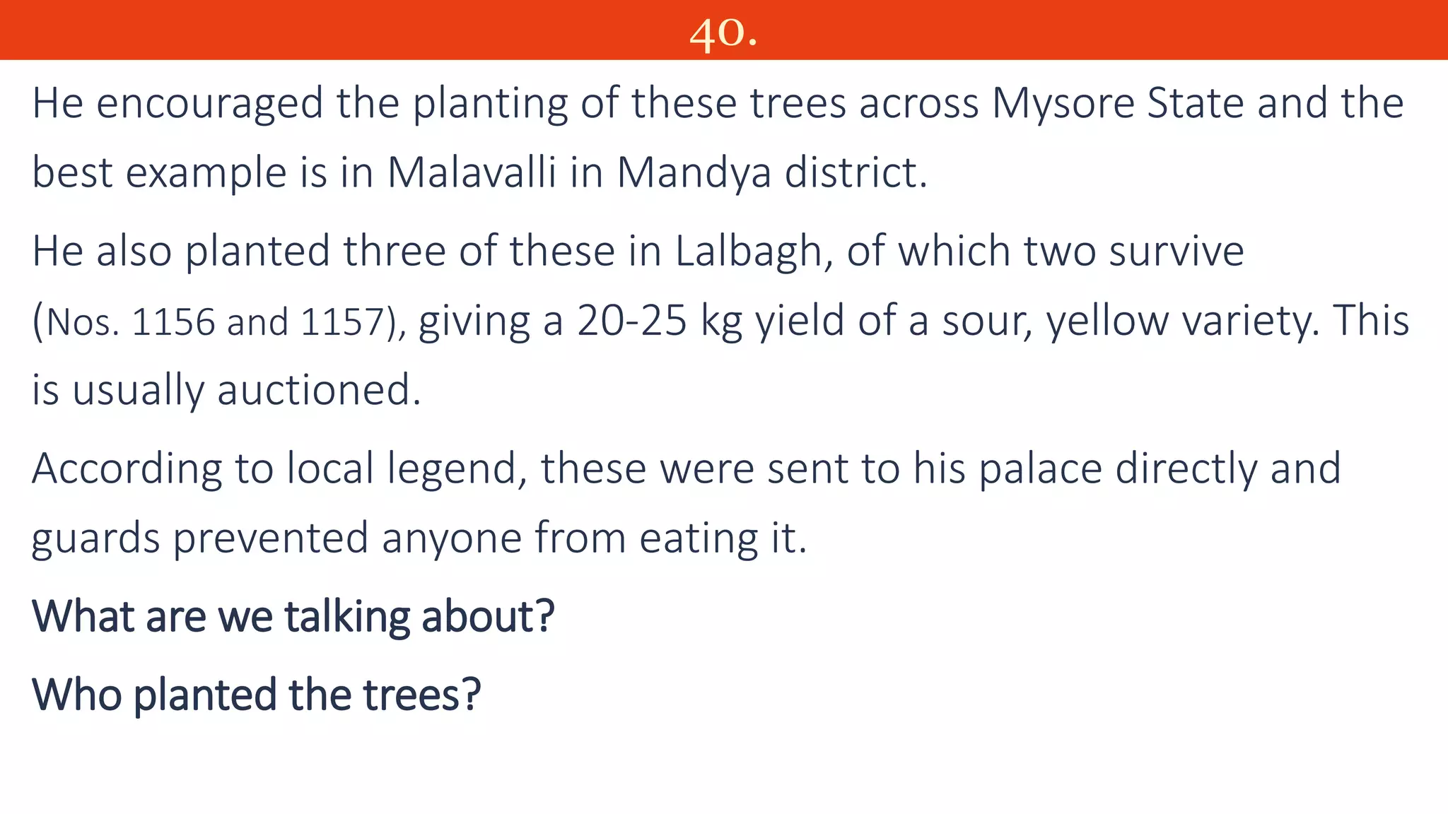 40.
He encouraged the planting of these trees across Mysore State and the
best example is in Malavalli in Mandya district.
He also planted three of these in Lalbagh, of which two survive
(Nos. 1156 and 1157), giving a 20-25 kg yield of a sour, yellow variety. This
is usually auctioned.
According to local legend, these were sent to his palace directly and
guards prevented anyone from eating it.
What are we talking about?
Who planted the trees?
 