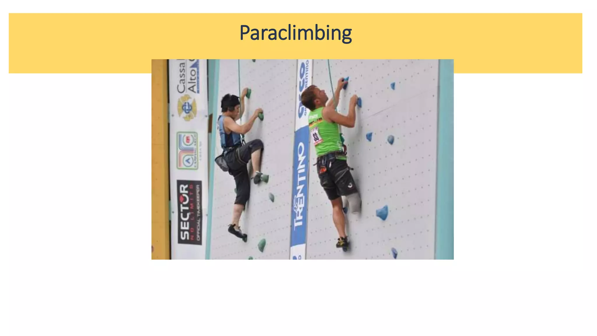 Paraclimbing
 
