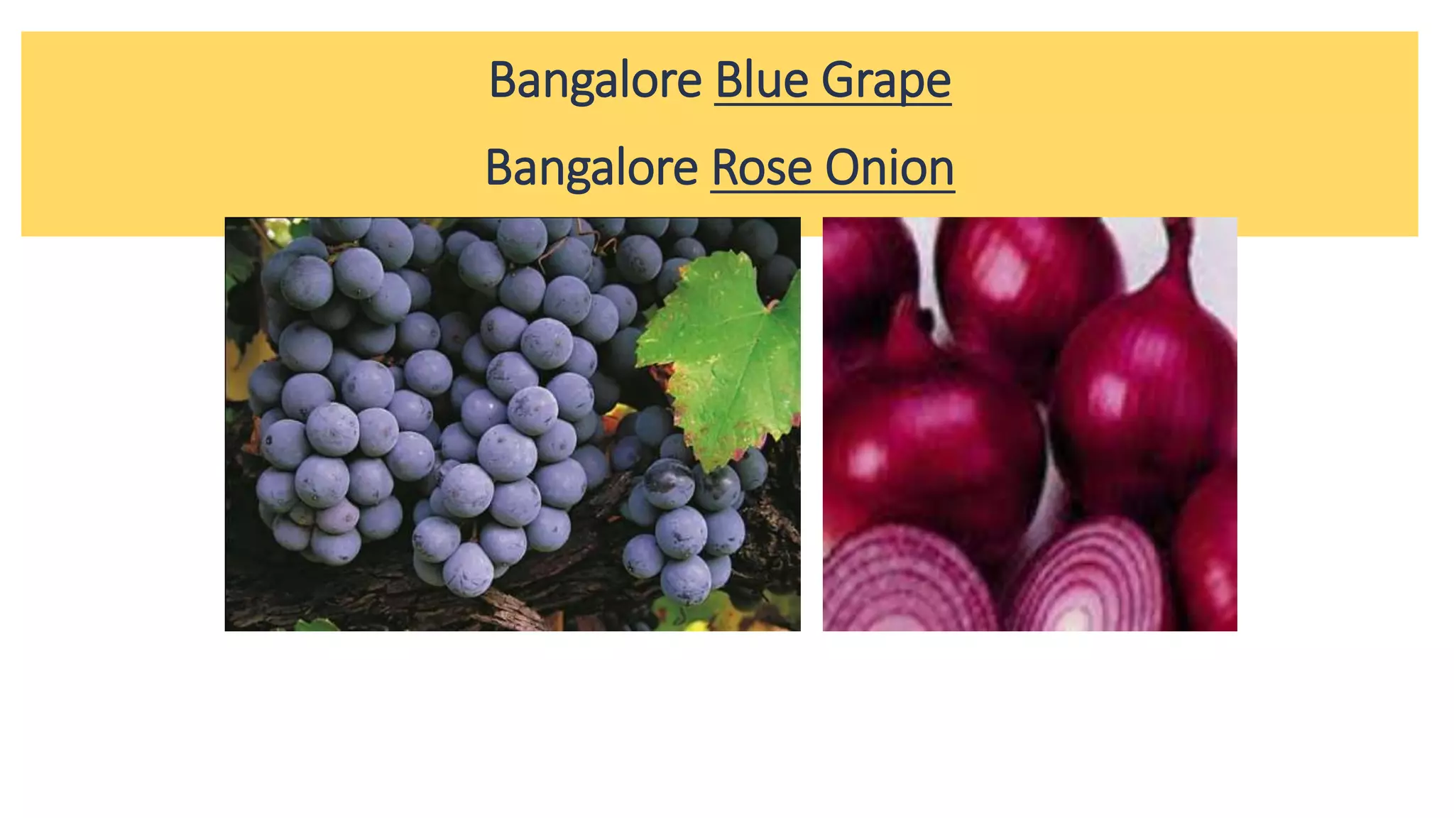 Bangalore Blue Grape
Bangalore Rose Onion
 