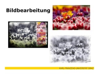 Bildbearbeitung
 