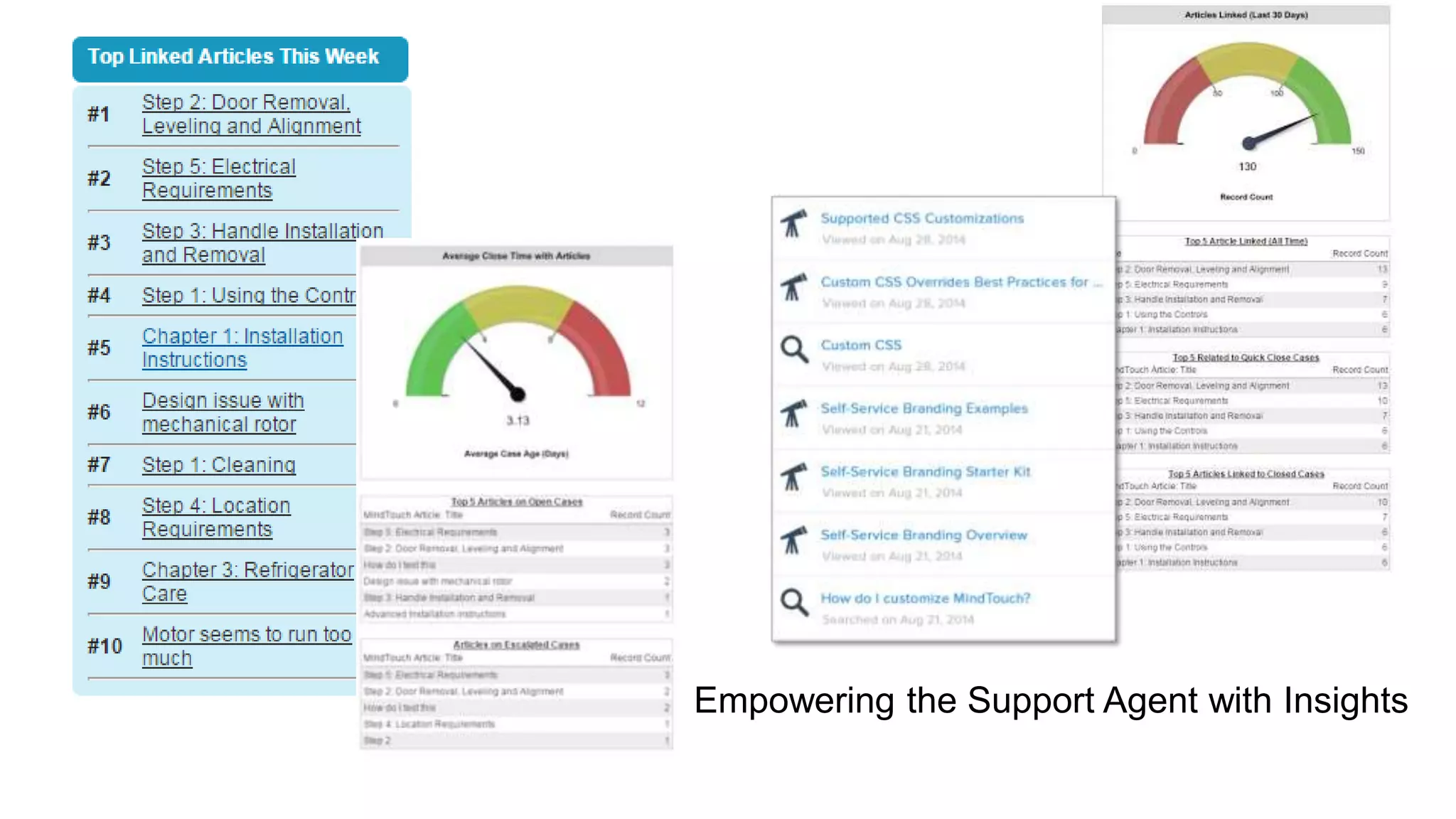 Empowering the Support Agent with Insights
 