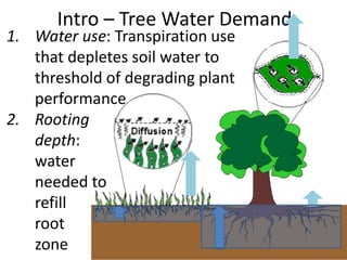 Intro – Tree Water Demand
13
1. Water use: Transpiration use
that depletes soil water to
threshold of degrading plant
perf...