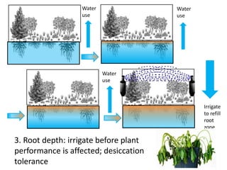 Water
use
Water
use
Water
use
Irrigate
to refill
root
zone
3. Root depth: irrigate before plant
performance is affected; d...