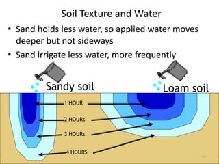 54
Soil Texture and Water
• Sand holds less water, so applied water moves
deeper but not sideways
• Sand irrigate less wat...