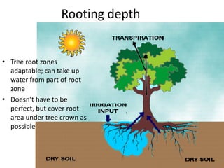 65
Rooting depth
• Tree root zones
adaptable; can take up
water from part of root
zone
• Doesn’t have to be
perfect, but c...