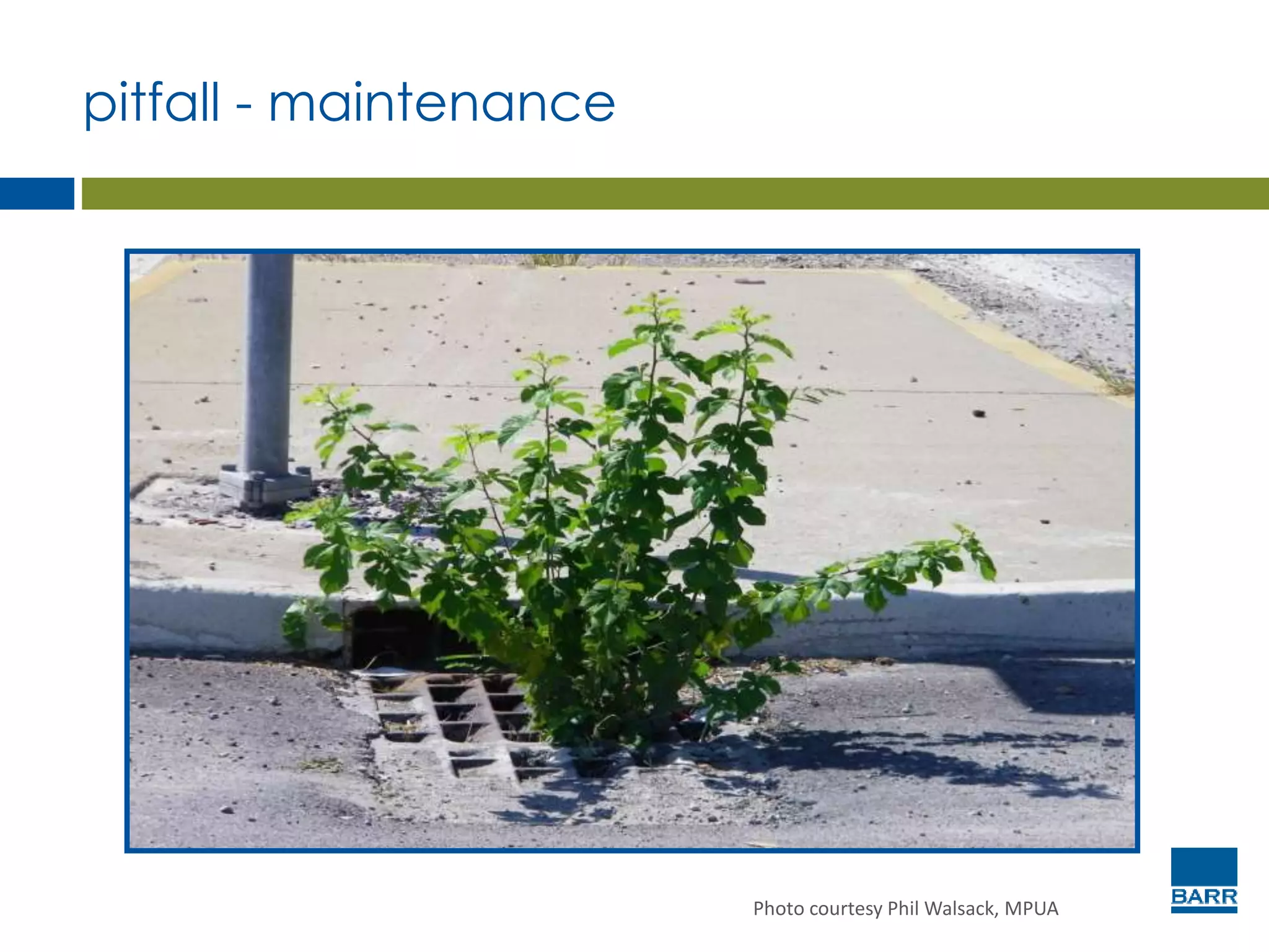 pitfall - maintenance
Photo courtesy Phil Walsack, MPUA
 