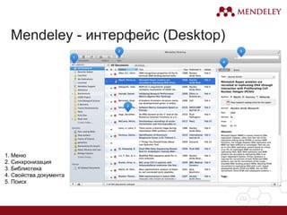 Mendeley - интерфейс (Desktop)
1. Меню
2. Синхронизация
3. Библиотека
4. Свойства документа
5. Поиск
 