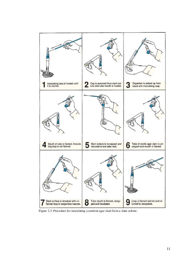 2015 mibi lab_manual