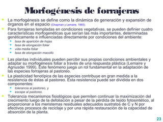 23
Morfogénesis de forrajeras
 La morfogénesis se define como la dinámica de generación y expansión de
órganos en el espacio (Chapman y Lemaire, 1993).
 Para forrajeras templadas en condiciones vegetativas, se pueden definier cuatro
características morfogenéticas que serían las más importantes, determinadas
genéticamente e influenciadas directamente por condiciones del ambiente:
 tasa de aparición de hojas
 tasa de elongación foliar
 vida media foliar
 tasa de elongación macollo
 Las plantas individuales pueden percibir sus propias condiciones ambientales y
adaptar su morfogénesis foliar a través de una respuesta plástica (Lemaire y
Agnusdei 1999). Este fenómeno juega un rol fundamental en la adaptación de
las especies forrajeras al pastoreo.
 La plasticidad fenotípica de las especies contribuye en gran medida a la
resistencia de éstas al pastoreo. Esta resistencia puede ser dividida en dos
componentes:
 tolerancia al pastoreo, y
 escape al pastoreo.
 Tolerancia mecanismos fisiológicos que permiten continuar la maximización del
crecimiento luego de la defoliación a pesar de la pérdida de tejido fotosintético, al
proporcionar a los meristemas residuales adecuados sustratos de C y N por
efectivos procesos de reciclaje y por una rápida restauración de la capacidad de
absorción de la planta.
 