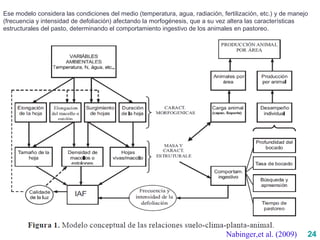 24Nabinger,et al. (2009)
Ese modelo considera las condiciones del medio (temperatura, agua, radiación, fertilización, etc.) y de manejo
(frecuencia y intensidad de defoliación) afectando la morfogénesis, que a su vez altera las características
estructurales del pasto, determinando el comportamiento ingestivo de los animales en pastoreo.
 