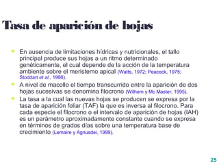 25
Tasa de aparición de hojas
 En ausencia de limitaciones hídricas y nutricionales, el tallo
principal produce sus hojas a un ritmo determinado
genéticamente, el cual depende de la acción de la temperatura
ambiente sobre el meristemo apical (Watts, 1972; Peacock, 1975;
Stoddart et al., 1986).
 A nivel de macollo el tiempo transcurrido entre la aparición de dos
hojas sucesivas se denomina filocrono (Wilhem y Mc Master, 1995).
 La tasa a la cual las nuevas hojas se producen se expresa por la
tasa de aparición foliar (TAF) la que es inversa al filocrono. Para
cada especie el filocrono o el intervalo de aparición de hojas (IAH)
es un parámetro aproximadamente constante cuando se expresa
en términos de grados días sobre una temperatura base de
crecimiento (Lemaire y Agnusdei, 1999).
 