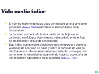 26
Vida media foliar
 El número máximo de hojas vivas por macollo es una constante
genotípica (Davies, 1988) relativamente independiente de la
temperatura.
 La duración promedio de la vida media de las hojas es un
parámetro morfológico determinante del equilibrio entre el flujo
de crecimiento y el flujo de senescencia.
 Esto indica que el efecto simultáneo de la temperatura sobre la
velocidad de aparición de hojas y sobre la duración de vida se
efectúa en una relación relativamente constante, o sea que todo
aumento en la velocidad de aparición de hojas se acompaña de
una reducción equivalente en su duración (Nabinger, 1997).
 