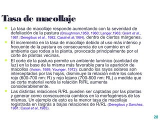 28
Tasa de macollaje
 La tasa de macollaje responde aumentando con la severidad de
defoliación de la pastura (Broughman,1959, 1960; Langer,1963; Grant et al.,
1981; Deregibus et al., 1982, Casal et al;1984), dentro de ciertos márgenes.
 El incremento en la tasa de macollaje debido al uso más intenso y
frecuente de la pastura es consecuencia de un cambio en el
ambiente que rodea a la planta, provocado principalmente por el
corte de plantas vecinas.
 El corte de la pastura permite un ambiente lumínico (cantidad de
luz) en la base de la misma más favorable para la aparición de
macollos (Voisin, 1959; Younger, 1972): cuando los rayos solares son
interceptados por las hojas, disminuye la relación entre los colores
rojo (600-700 nm: R) y rojo lejano (700-800 nm: RL) a medida que
se corta material verde la relación R/RL aumenta
considerablemente.
 Las distintas relaciones R/RL pueden ser captadas por las plantas
y generar como consecuencia cambios en la morfogénesis de las
mismas. Un ejemplo de esto es la menor tasa de macollaje
registrada en raigrás a bajas relaciones de R/RL (Deregibus y Sanchez,
1981; Casal et al.,1985).
 