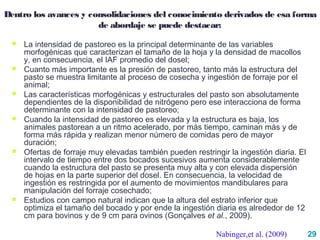 29
Dentro los avances y consolidaciones del conocimiento derivados de esa forma
de abordaje se puede destacar:
 La intensidad de pastoreo es la principal determinante de las variables
morfogénicas que caracterizan el tamaño de la hoja y la densidad de macollos
y, en consecuencia, el IAF promedio del dosel;
 Cuanto más importante es la presión de pastoreo, tanto más la estructura del
pasto se muestra limitante al proceso de cosecha y ingestión de forraje por el
animal;
 Las características morfogénicas y estructurales del pasto son absolutamente
dependientes de la disponibilidad de nitrógeno pero ese interacciona de forma
determinante con la intensidad de pastoreo;
 Cuando la intensidad de pastoreo es elevada y la estructura es baja, los
animales pastorean a un ritmo acelerado, por más tiempo, caminan más y de
forma más rápida y realizan menor número de comidas pero de mayor
duración;
 Ofertas de forraje muy elevadas también pueden restringir la ingestión diaria. El
intervalo de tiempo entre dos bocados sucesivos aumenta considerablemente
cuando la estructura del pasto se presenta muy alta y con elevada dispersión
de hojas en la parte superior del dosel. En consecuencia, la velocidad de
ingestión es restringida por el aumento de movimientos mandibulares para
manipulación del forraje cosechado;
 Estudios con campo natural indican que la altura del estrato inferior que
optimiza el tamaño del bocado y por ende la ingestión diaria es alrededor de 12
cm para bovinos y de 9 cm para ovinos (Gonçalves et al., 2009).
Nabinger,et al. (2009)
 