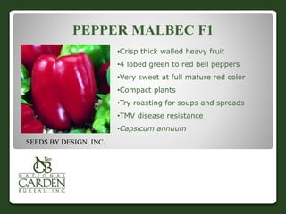 PEPPER MALBEC F1 
•Crisp thick walled heavy fruit 
•4 lobed green to red bell peppers 
•Very sweet at full mature red color 
•Compact plants 
•Try roasting for soups and spreads 
•TMV disease resistance 
•Capsicum annuum 
SEEDS BY DESIGN, INC. 
 