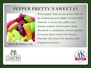 PEPPER PRETTY N SWEET F1 
•First pepper that can be grown both as 
an ornamental and edible “ornamedible” 
•Harvest 1-ounce red, yellow and 
orange peppers off the same plant 
•Excellent in containers, kitchen garden 
or annual beds mixed with flowers 
•Harvest 105 days from sowing seed 
•Capsicum annuum 
SEEDS BY DESIGN, INC. 
 