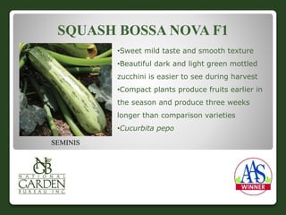 SQUASH BOSSA NOVA F1 
•Sweet mild taste and smooth texture 
•Beautiful dark and light green mottled 
zucchini is easier to see during harvest 
•Compact plants produce fruits earlier in 
the season and produce three weeks 
longer than comparison varieties 
•Cucurbita pepo 
SEMINIS 
 