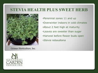 STEVIA HEALTH PLUS SWEET HERB 
•Perennial zones 11 and up 
•Overwinter indoors in cold climates 
•About 2 feet high at maturity 
•Leaves are sweeter than sugar 
•Harvest before flower buds open 
•Stevia rebaudiana 
Grimes Horticulture, Inc. 
 