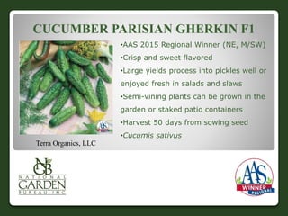 CUCUMBER PARISIAN GHERKIN F1 
•AAS 2015 Regional Winner (NE, M/SW) 
•Crisp and sweet flavored 
•Large yields process into pickles well or 
enjoyed fresh in salads and slaws 
•Semi-vining plants can be grown in the 
garden or staked patio containers 
•Harvest 50 days from sowing seed 
•Cucumis sativus 
Terra Organics, LLC 
 