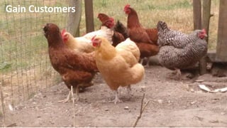 © 2015 AT&T Intellectual Property. All rights reserved. AT&T, the AT&T logo and all other marks contained herein are trademarks of AT&T Intellectual Property and/or AT&T affiliated companies. All other
marks contained herein are the property of their respective owners. Information contained herein is not an offer, commitment, representation or warranty by AT&T and is subject to change. Mention of a
specific company or entity is not an endorsement by AT&T.
Gain Customers
 