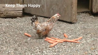 © 2015 AT&T Intellectual Property. All rights reserved. AT&T, the AT&T logo and all other marks contained herein are trademarks of AT&T Intellectual Property and/or AT&T affiliated companies. All other
marks contained herein are the property of their respective owners. Information contained herein is not an offer, commitment, representation or warranty by AT&T and is subject to change. Mention of a
specific company or entity is not an endorsement by AT&T.
Keep Them Happy
 