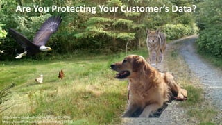 © 2015 AT&T Intellectual Property. All rights reserved. AT&T, the AT&T logo and all other marks contained herein are trademarks of AT&T Intellectual Property and/or AT&T affiliated companies. All other
marks contained herein are the property of their respective owners. Information contained herein is not an offer, commitment, representation or warranty by AT&T and is subject to change. Mention of a
specific company or entity is not an endorsement by AT&T.
Are You Protecting Your Customer’s Data?
http://www.geograph.org.uk/photo/2958201
https://www.flickr.com/photos/emdot/145432
 