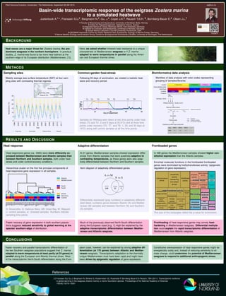 Plant Genome Evolution, Amsterdam, The Netherlands, September 6th-8th 2015 alj@uin.no
Basin-wide transcriptomic response of the eelgrass Zostera marina
to a simulated heatwave
Jueterbock A.1,∗
, Franssen S.U.2
, Bergmann N.3
, Gu, J.4
, Coyer J.A.5
, Reusch T.B.H. 6
, Bornberg-Bauer E.4
, Olsen J.L.7
1 Faculty of Biosciences and Aquaculture, University of Nordland, Bodø, Norway
2 Institut f¨ur Populationsgenetik, Vetmeduni Vienna, Austria
3 Integrated School of Ocean Sciences (ISOS), Kiel University, Germany
4 Institute for Evolution and Biodiversity, University of M¨unster, Germany
5 Shoals Marine Laboratory, Cornell University, Portsmouth, USA
6 GEOMAR Helmholtz-Centre for Ocean Research Kiel, Evolutionary Ecology of Marine Fishes, Germany
7 Marine Benthic Ecology and Evolution Group, Centre for Ecological and Evolutionary Studies, University of Groningen, The Netherlands
13c3b7f
BACKGROUND
Heat waves are a major threat for Zostera marina, the pre-
dominant seagrass in the northern hemisphere. In previous
studies, Z. marina was found to be more heat tolerant at the
southern edge of its European distribution (Mediterranean, [1]).
Here, we asked whether inherent heat resistance is a unique
characteristic of Mediterranean seagrass or if Z. marina
adapted to warm temperatures in parallel along the Ameri-
can and European thermal clines.
METHODS
Sampling sites Common-garden heat-stress Bioinformatics data analysis
Weekly average sea surface temperature (SST) at four sam-
pling sites with contrasting thermal regimes.
Following 50 days of acclimation, we created a realistic heat-
wave and recovery period.
Samples for RNAseq were taken at two time points under heat-
stress (T2 and T3: 0 and 5 days at 25.5◦
C) and at three time
points under recovery (T5. T7. and T9: 1, 20, and 30 days at
19◦
C) along with control samples at all ﬁve time points.
Workﬂow of data analysis with color codes representing
grouping of samples/libraries.
Location G (Gabicce Mare) D (Doverodde) W (Waquoit) GB (Great Bay)
Atlantic/Mediterranean M A
North/South S N S N
Condition Control Heated Recovery C H R C H R C H R
Timepoint 2 3 5 7 9 2 3 5 7 9
Genotype, Library 1 2 3
RNAseq (Illumina) + Quality control
Alignment (splice-aware)
Zostera marina genome
Annotation
Filtering reads
Duplicates
Ambiguous mappings
Non-annotated mappings
Expression proﬁles (rlog transformed)
Gene Library 1 Library 2 Library 3 ...
mRNA1 3.6 5.9 6.4 ...
... ... ... ... ...
RESULTS AND DISCUSSION
Heat response Adaptive differentiation Frontloaded genes
Heat-responsive genes (ca. 3300) were more differently ex-
pressed between Mediterranean and Atlantic samples than
between Northern and Southern samples, both under heat-
stress and under control/recovery conditions.
Hierarchical cluster on the ﬁrst ﬁve principal components of
heat-responsive gene expression in all samples.
D: Doverodde, G: Gabicce Mare, GB: Great Bay, W: Waquoit;
c: control samples, w: stressed samples. Numbers indicate
sampling time points.
At 21 genes, Mediterranean samples showed expression differ-
ences from Atlantic samples that were putatively adaptive to
contrasting temperatures, as these genes were also adap-
tively differentiated between Northern and Southern samples.
Venn diagram of adaptively differentiated genes.
Differentially expressed (gray numbers) or adaptively differenti-
ated (black numbers) genes between Atlantic (A) and Mediter-
ranean (M) samples and between Northern (N) and Southern
(S) samples.
In 498 genes the Mediterranean samples showed higher con-
stitutive expression than the Atlantic samples.
Enriched molecular functions in the frontloaded frontloaded
genes were dominated by’methyltransferase activity’ (epigenetic
regulation of gene expression).
The size of the rectangles reﬂect the p-value for enrichment.
Faster recovery of gene expression in both southern popula-
tions suggests reduced sensitivity to global warming at the
species’ southern edge of distribution.
Much of the previously observed North-South differentiation
along the European coast [e.g. 1] might be explained by the
adaptive transcriptomic differentiation between Mediter-
ranean and Atlantic seagrass.
Frontloading of heat-responsive genes may convey heat-
hardening in Mediterranean seagrass. Differential methyla-
tion could explain the rapid transcriptomic differentiation of
Mediterranean from Atlantic seagrass.
References
[1] Franssen SU, Gu J, Bergmann N, Winters G, Klostermeier UC, Rosenstiel P, Bornberg-Bauer E & Reusch, TBH (2011): Transcriptomic resilience
to global warming in the seagrass Zostera marina, a marine foundation species. Proceedings of the National Academy of Sciences
108(48):19276–19281
CONCLUSIONS
Faster recovery and parallel transcriptomic differentiation of
the two Southern seagrass populations suggest that Z. marina
adapted to warm temperatures at least partly (at 24 genes) in
parallel along the European and Atlantic thermal clines. Most
of the transcriptomic North-South differentiation along the Euro-
pean coast, however, can be explained by strong adaptive dif-
ferentiation (at 170 genes) between Atlantic and Mediter-
ranean seagrass. Transcriptomic adaptation to the thermally
unique Mediterranean must have been rapid and might have
been driven by epigenetic regulation of gene expression.
Constitutive overexpression of heat responsive genes might be
energetically costly and, instead of reducing sensitivity to cli-
mate change, could undermine the potential of Mediterranean
seagrass to respond to additional anthropogenic stress.
 
