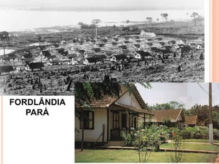 FORDLÂNDIA
PARÁ
 