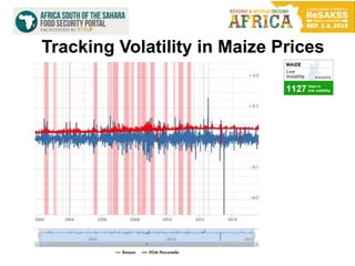 10
Tracking Volatility in Maize Prices
 