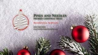 Pines and Needles
Premier Christmas Trees
0203 384 9420
enquiries@pinesandneedles.com
Residential Services
 