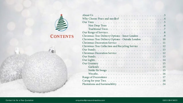 Christmas Tree Residential Marketing Brochure