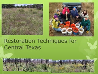 Restoration Techniques for
Central Texas
 