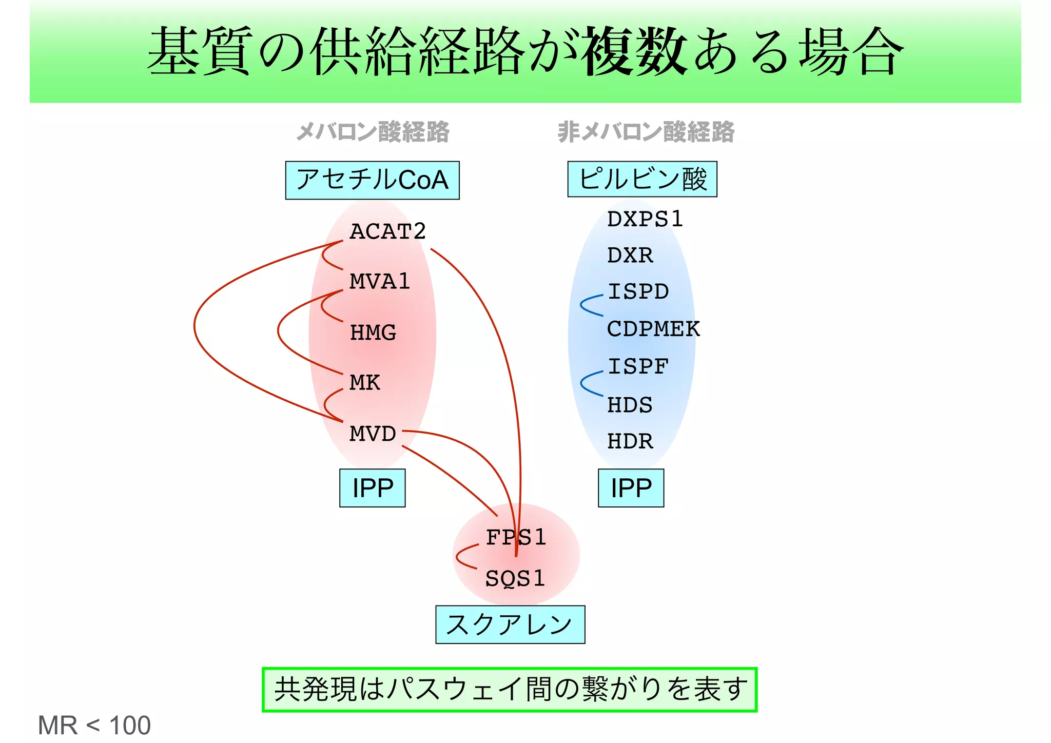 基質の供給経路が複数ある場合
スクアレン
HDR
HDS
ISPF
CDPMEK
ISPD
DXR
DXPS1
HMG
MVD
MK
MVA1
ACAT2
SQS1
FPS1
共発現はパスウェイ間の繋がりを表す
メバロン酸経路 非メバロン酸経路
アセチルCoA ピルビン酸
IPPIPP
MR < 100
 