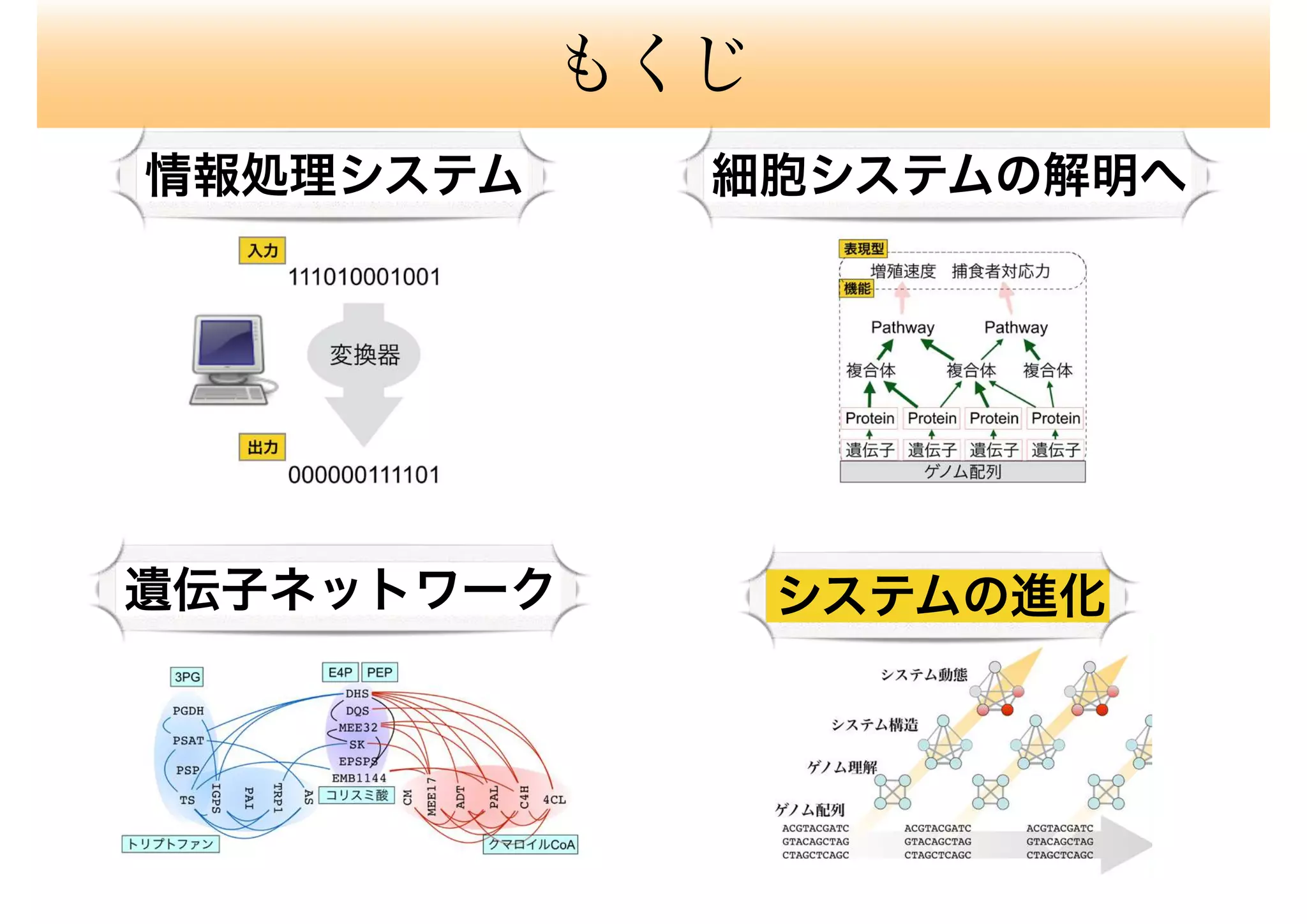 もくじ
細胞システムの解明へ
遺伝子ネットワーク
情報処理システム
システムの進化
 
