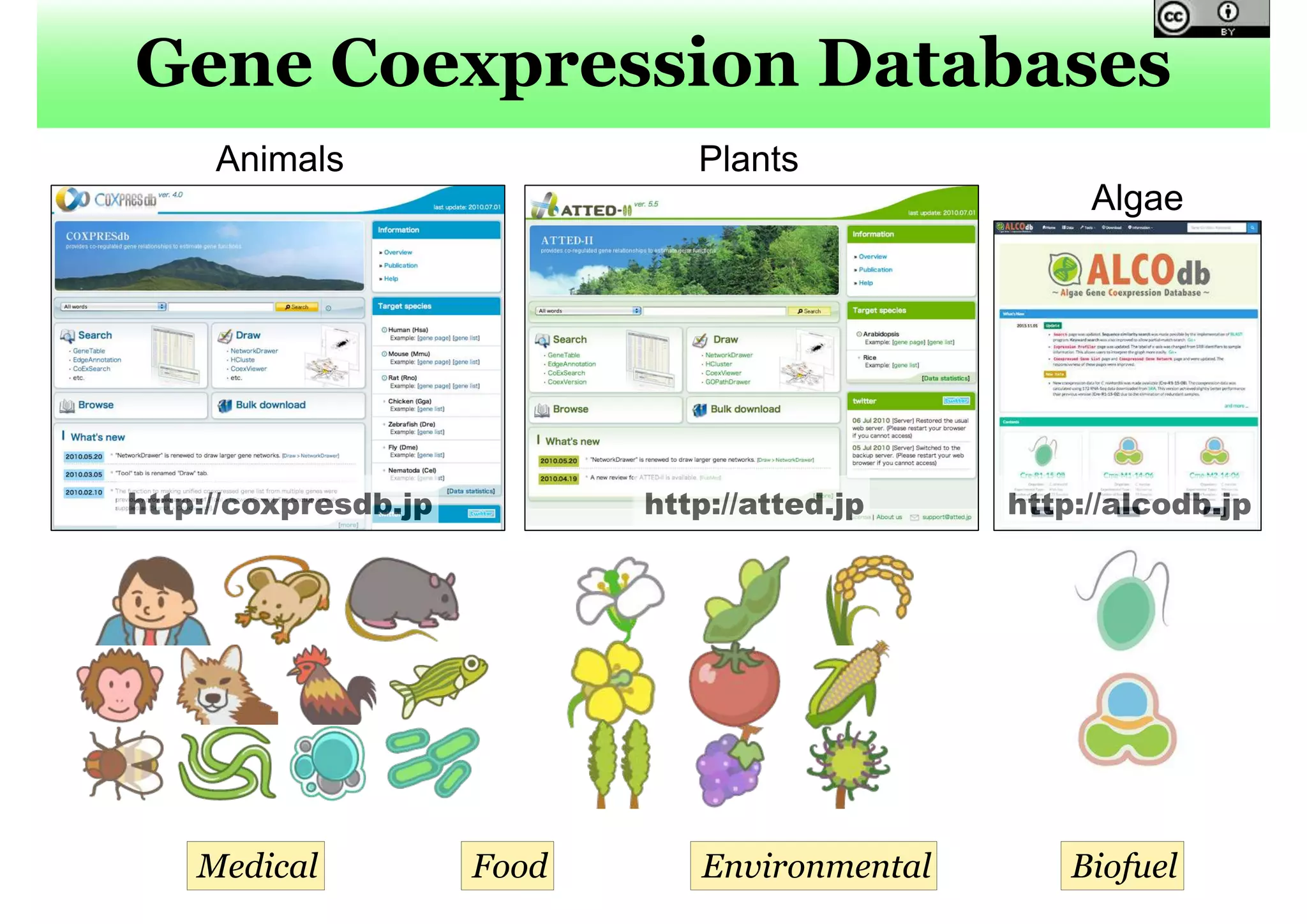 Gene Coexpression Databases
http://coxpresdb.jp http://atted.jp http://alcodb.jp
Animals Plants
Algae
Medical EnvironmentalFood Biofuel
 