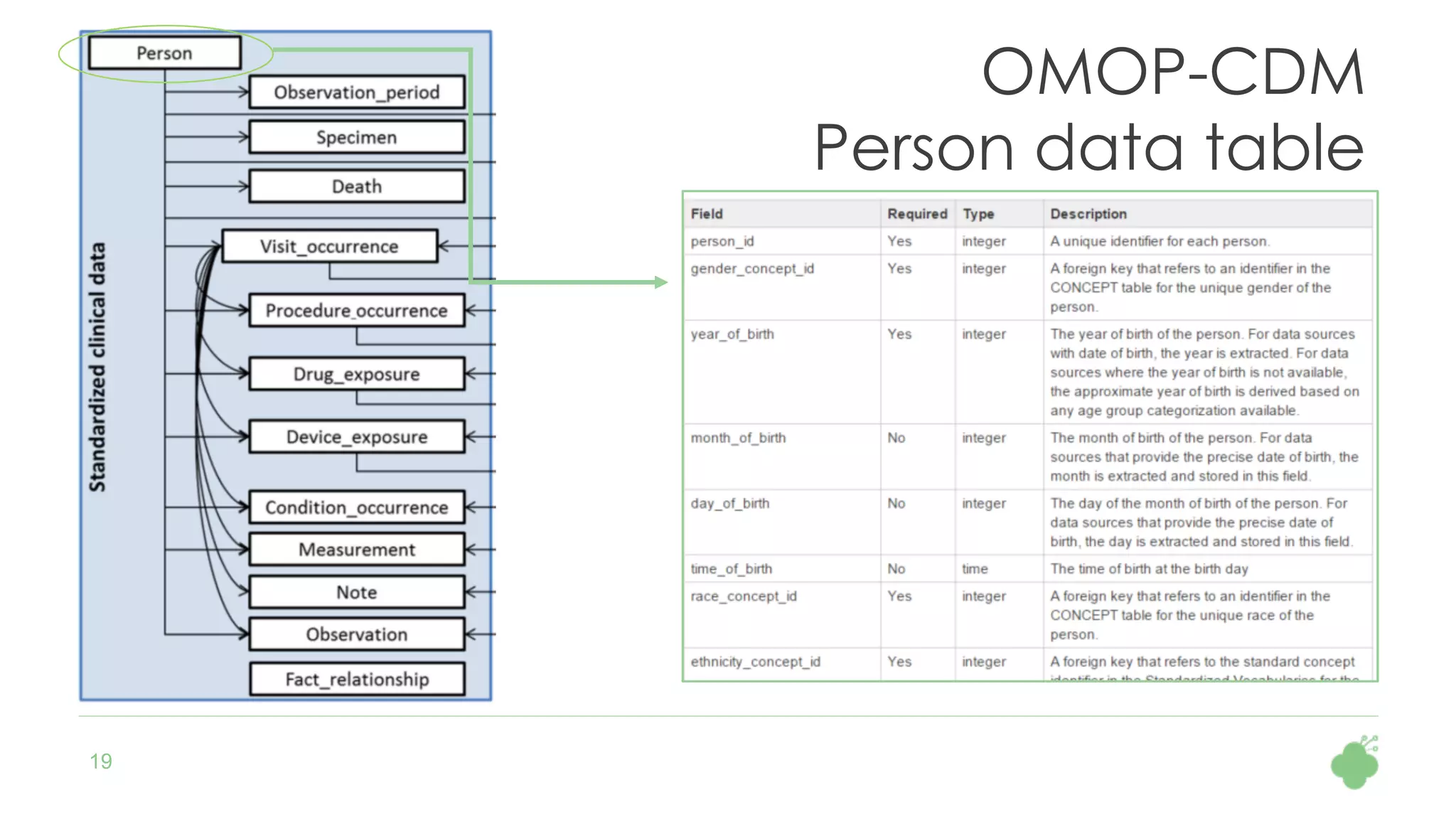 19
OMOP-CDM
Person data table
 