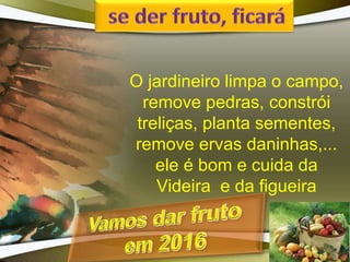 O jardineiro limpa o campo,
remove pedras, constrói
treliças, planta sementes,
remove ervas daninhas,...
ele é bom e cuida da
Videira e da figueira
 