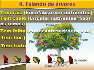 Tem raiz (Fixar/absorver nutrientes)
Tem flor (Atrair para multiplicar)
Tem fruto (Proteger a semente)
Tem caule (Circular nutrientes/ fixar
os ramos)
Tem folha (Fotossíntese/trocar o ar)
 