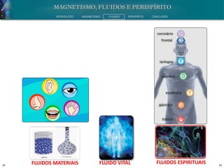 24 24
INTRODUÇÃO MAGNETISMO FLUIDOS PERISPÍRITO CONCLUSÃO
FLUIDOS MATERIAIS FLUIDOS ESPIRITUAISFLUIDO VITAL
 