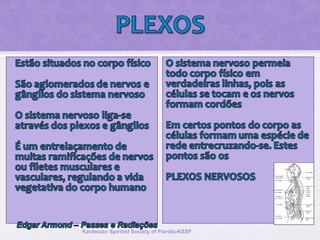 Kardecian Spiritist Society of Florida-KSSF
 