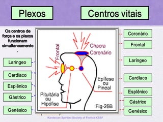 Kardecian Spiritist Society of Florida-KSSF
 