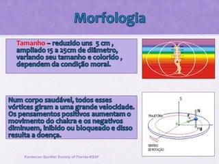 Kardecian Spiritist Society of Florida-KSSF
 