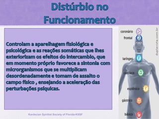 Kardecian Spiritist Society of Florida-KSSF
 