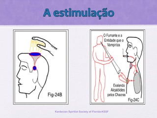 Kardecian Spiritist Society of Florida-KSSF
 