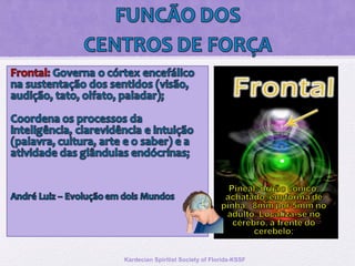 Kardecian Spiritist Society of Florida-KSSF
 