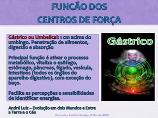 Kardecian Spiritist Society of Florida-KSSF
 