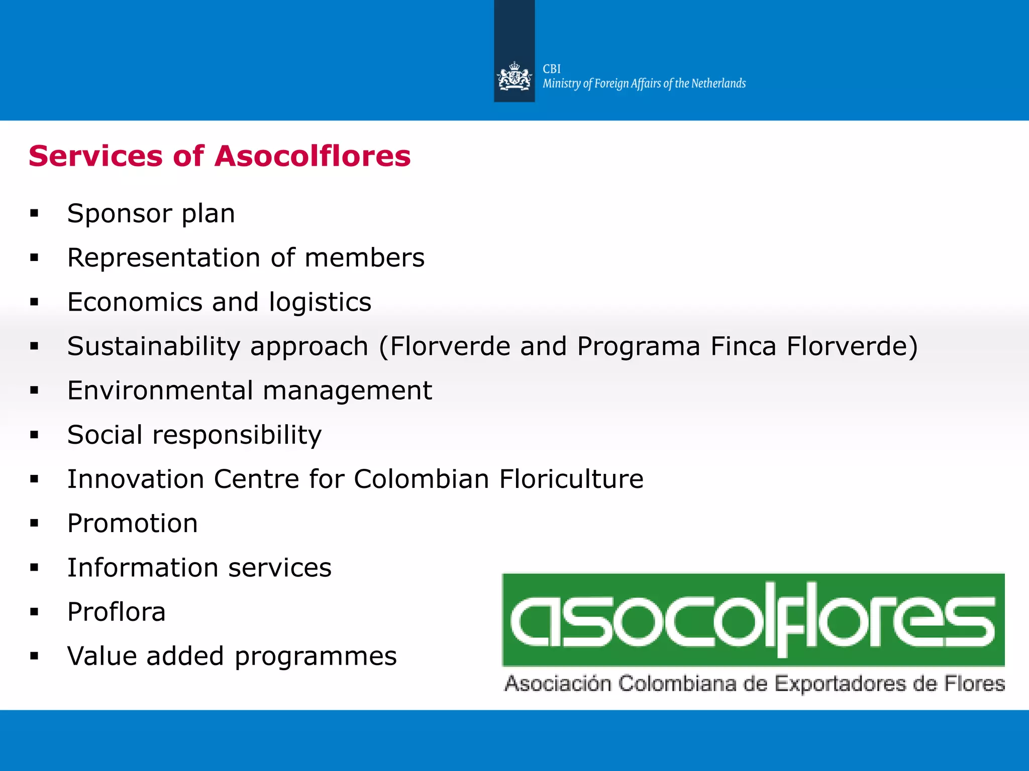 Slide 8