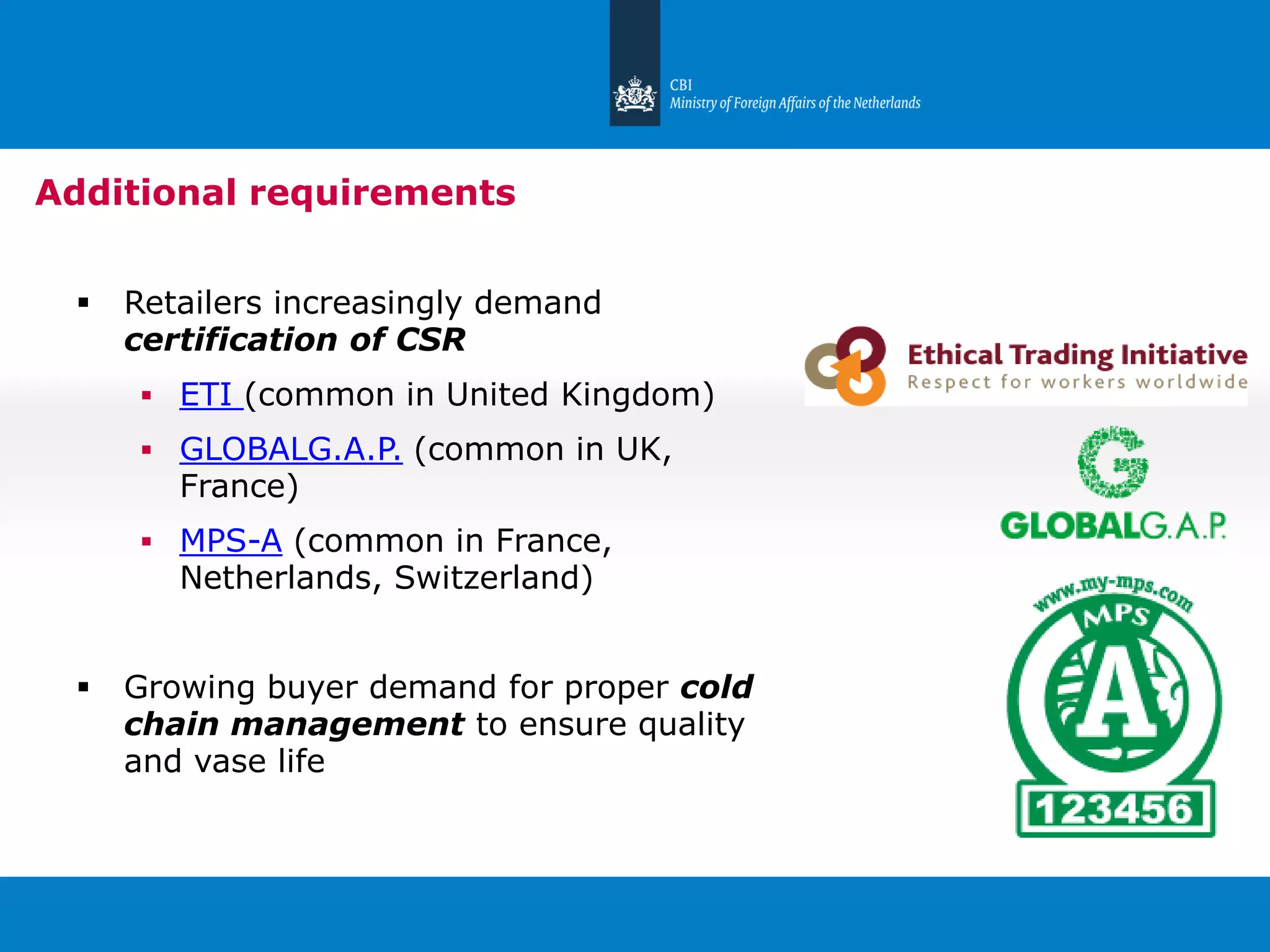 Slide 6
